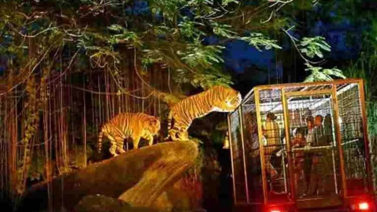 kukrail night safari up forest department will provide camping facilities at kukrail night safari of lucknow