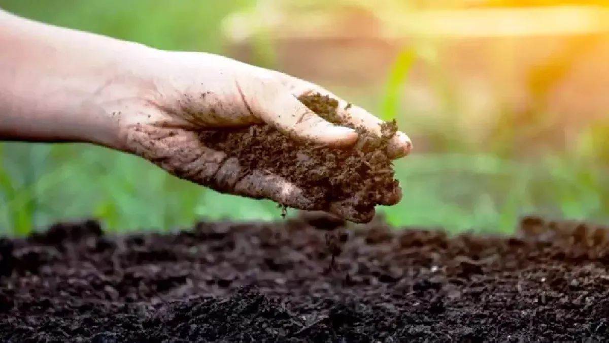 soil testing facilities expanded to subdivisions in bihar