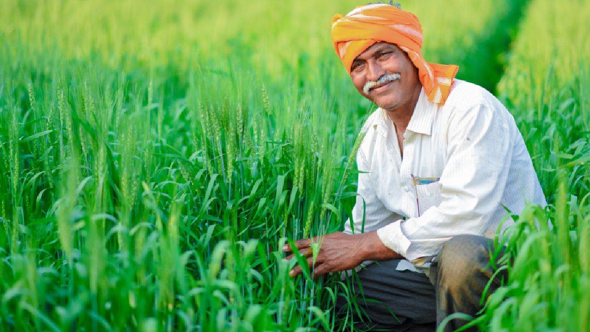 increased msp for rabi crops relief for farmers how much price increased