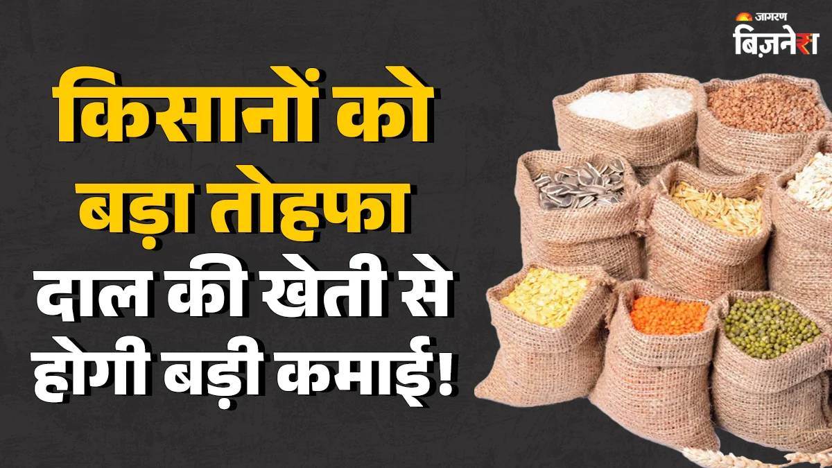 cabinet approves rs11000 crore plan to boost pulses production before pm kisan yojana 21st installment