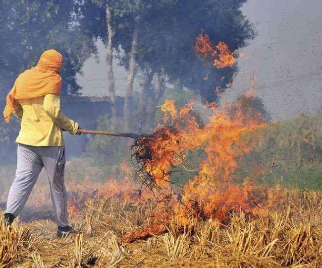 punjab highest parali burning season 2021 poor air quality punjab worst in ludhiana