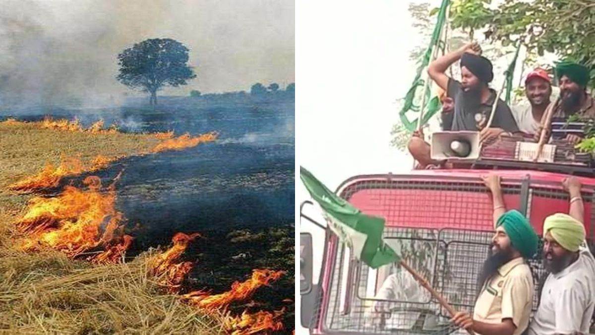 https://www.jagranimages.com/images/newimg/01112022/01_11_2022-parali_burning_1_23175899.jpg