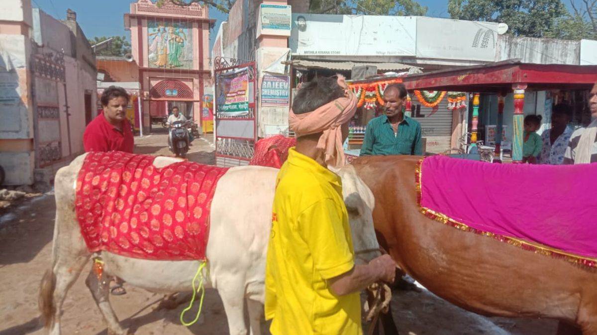 gopashtami festival started in sitamarhi gaushala procession taken out in the city of cows