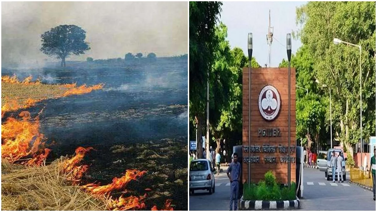 पंजाब में एक दिन में 2131 जगह जली पराली, चंडीगढ़ पर अब असर उतना नहीं, AQI 151, ये है वजह