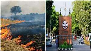 पंजाब में सबसे ज्यादा पराली जलाने की घटनाएं सामने आ रही हैं।