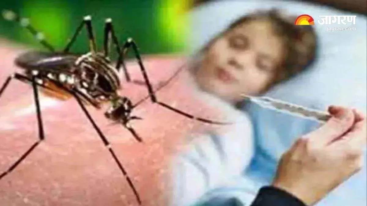 jammu kashmir five thousand people have got in dengue health officials said awareness is only solution