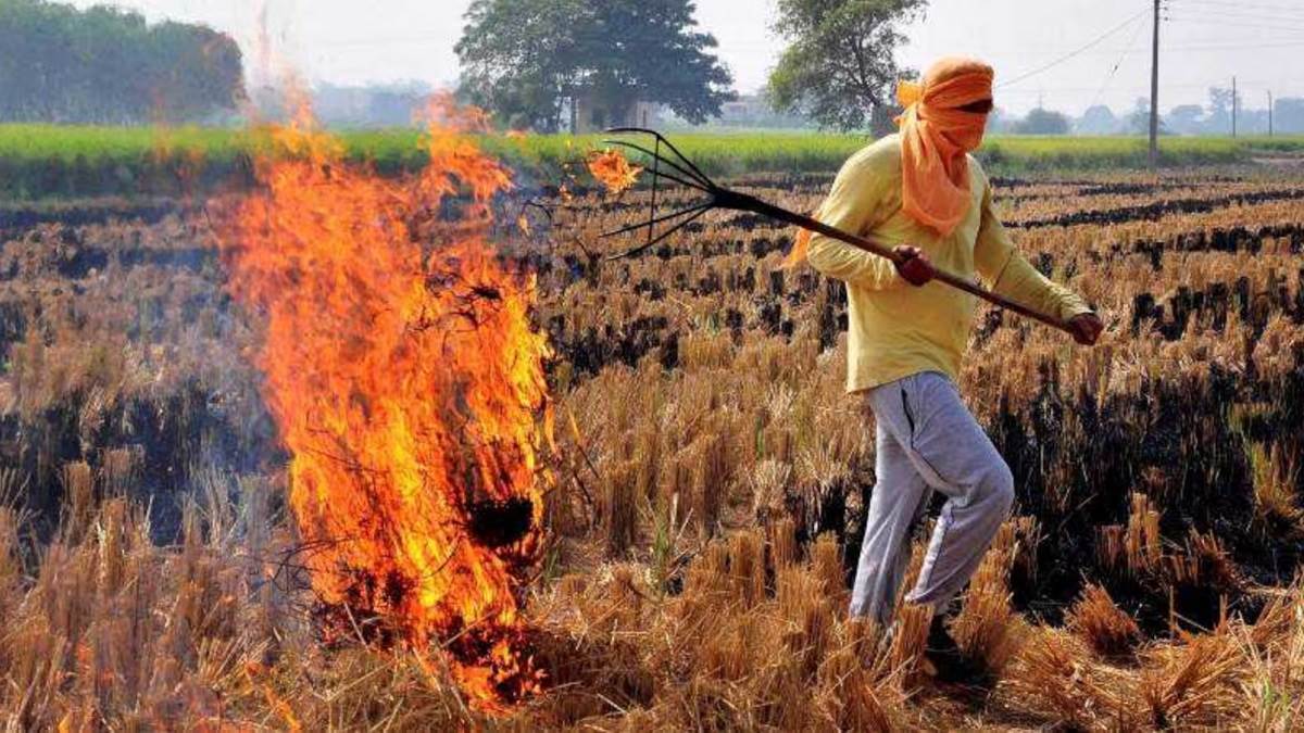 strict action has been taken against those who stubble in up fine of rs 11 lakh has been imposed so far