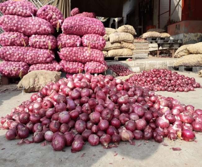 onion1(7)