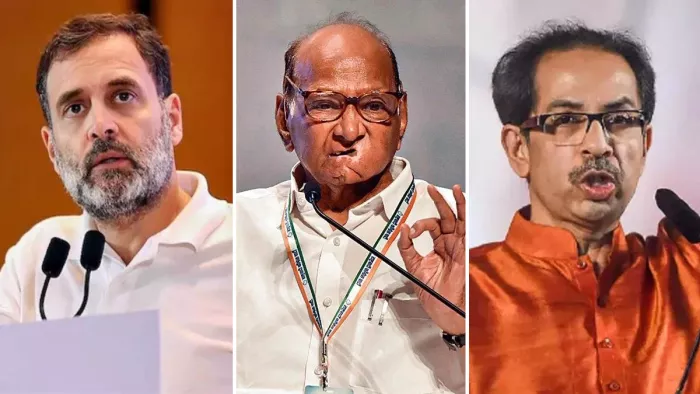 राहुल गांधी, शरद पवार और उद्धव ठाकरे। (फाइल फोटो)