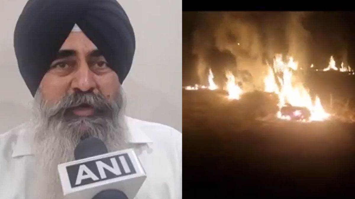 no one heart to keep their child in the smoke lakhwinder aulakh said farmers burning stubble under compulsion