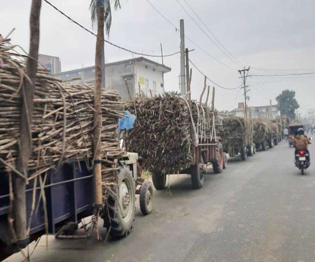 News Article Hero Image