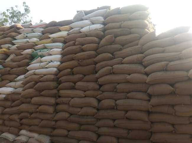 https://www.jagranimages.com/images/newimg/01122020/01_12_2020-rice_procurement_ballia_21118030.jpg