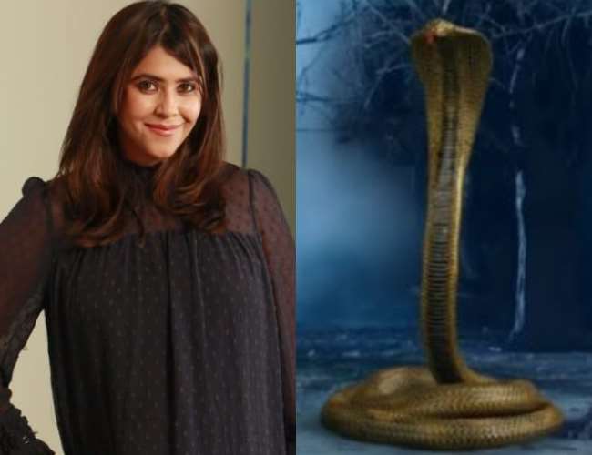 https://www.jagranimages.com/images/newimg/01122021/01_12_2021-naagin_22255757_17823165.jpg