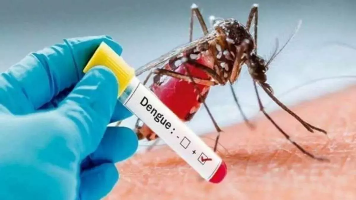 प्रयागराज में एक युवा महिला अधिवक्ता समेत दो लोगों की डेंगू से मौत हो गई।