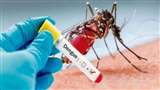 प्रयागराज में एक युवा महिला अधिवक्ता समेत दो लोगों की डेंगू से मौत हो गई।