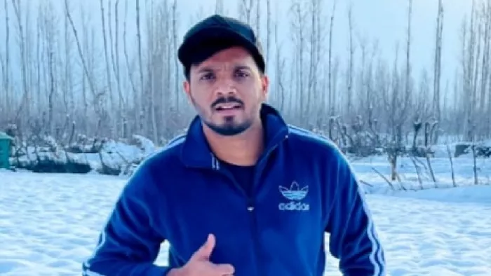 किसी ना किसी तरह से ब्रांडों के साथ सहयोग करना ही पैसे कमाने का तरीका है।