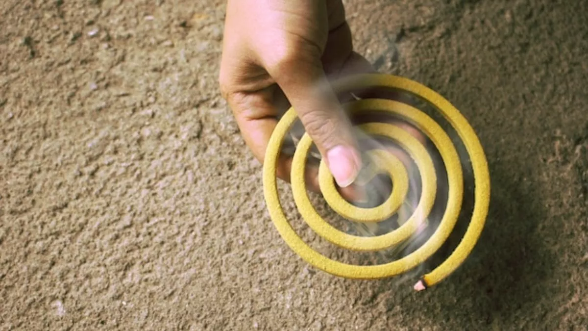 Mosquito Coil Side Effects मॉस्किटो क्वॉइल सेहत के लिए है खतरनाक