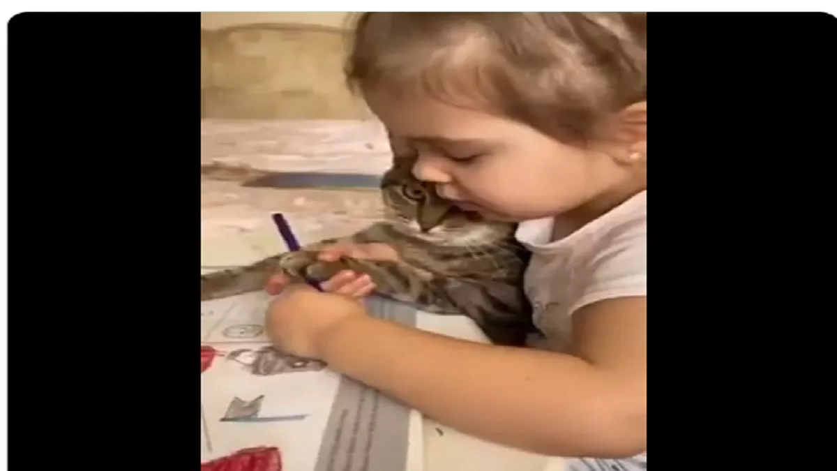 Viral Video: जबरन होमवर्क कराने से नाखुश बिल्ली ने दिया ऐसा रिएक्शन, वायरल हो गया वीडियो
