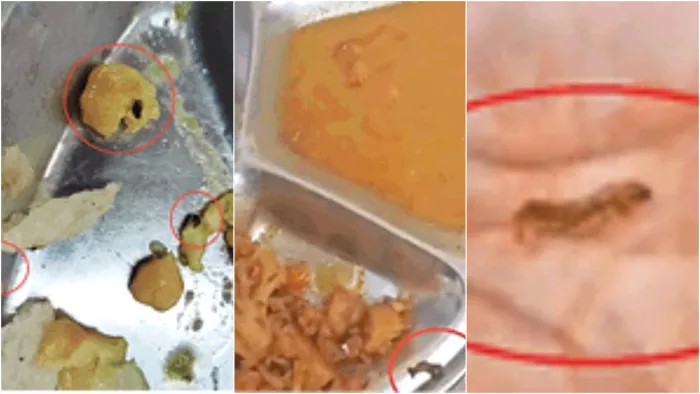 होस्टल में मिले छोले भटूरों में कीड़ों का तड़का