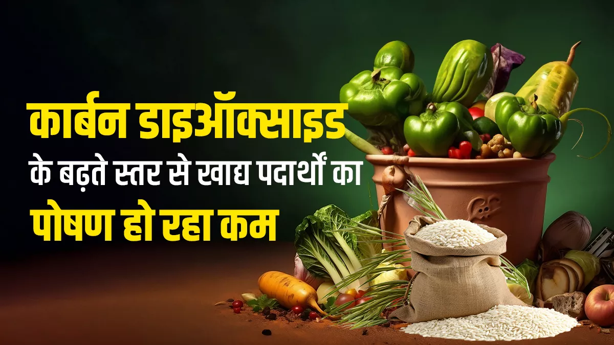 कार्बन उत्सर्जन बढ़ने से प्रोटीन और विटामिन बी में आती है कमी, हरे पौधों के पोषक गुणों पर सबसे ज्यादा होता है असर