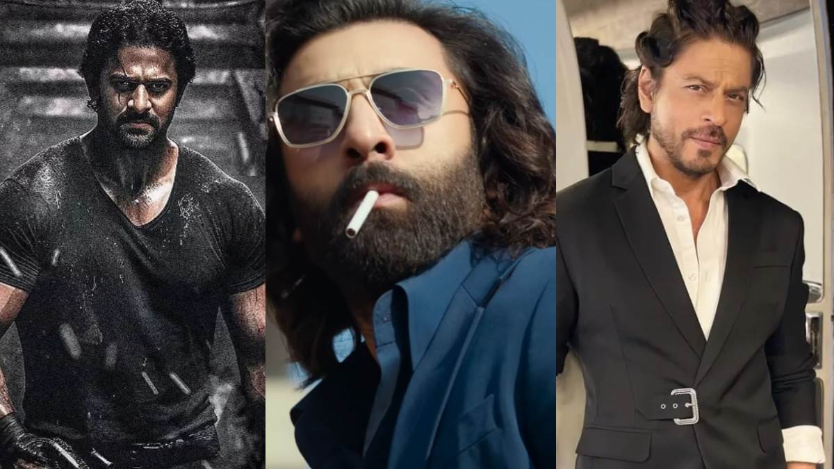 entertainment top 5 news 01 december from ranbir kapoor animal film review to dunki second song release top 5 new of the day
