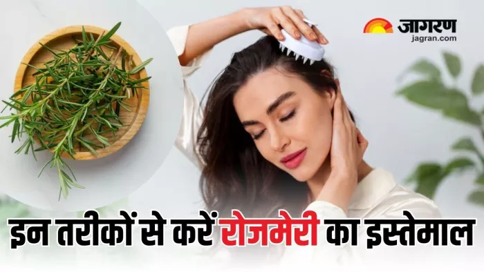 Rosemary से दूर होगी बालों से जुड़ी समस्याएं (Picture Courtesy: Freepik)