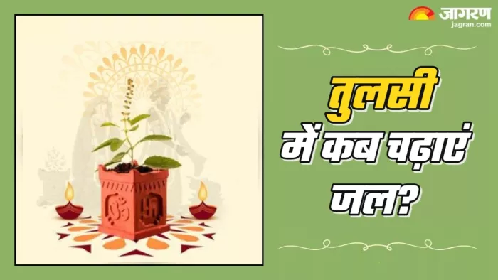 Tulsi Puja niyam तुलसी में किस दिन जल चढ़ाएं जल?