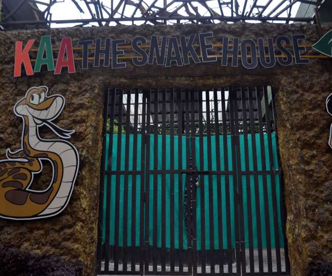 देहरादून में जहरीले सांपों को करीब से जानेंगे सैलानी