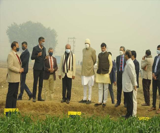 साल के पहले दिन केंद्रीय कृषि मंत्री पहुंचे भारतीय कृषि अनुसंधान संस्थान परिसर।