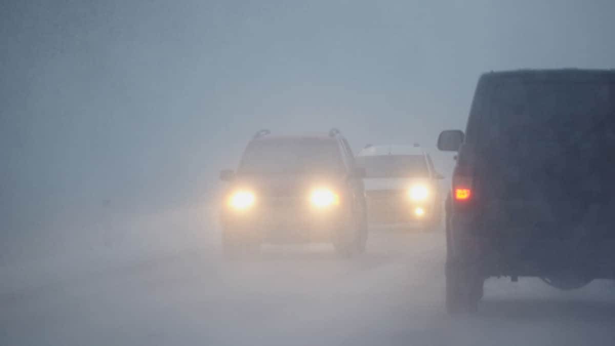 जनवरी के घने कुहरे में एक्सिडेंट बचने के लिए ये Fog Lights हैं एकदम परफेक्ट, अभी बढ़ गई डिमांड