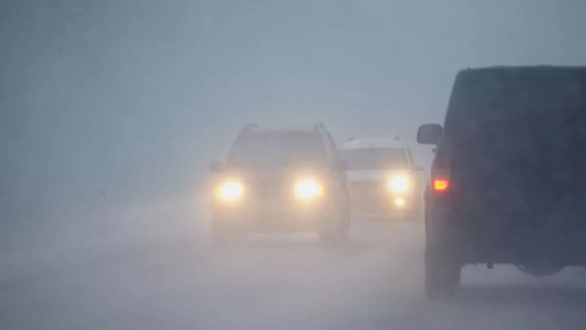 जनवरी के घने कुहरे में एक्सिडेंट बचने के लिए ये Fog Lights हैं एकदम परफेक्ट, अभी बढ़ गई डिमांड