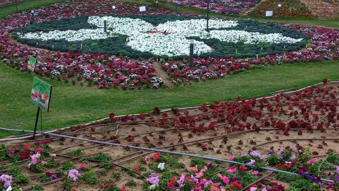 Flower Festival 2024: हरियाणा के हिसार में आज से शुरू होगा पुष्प उत्सव-2024