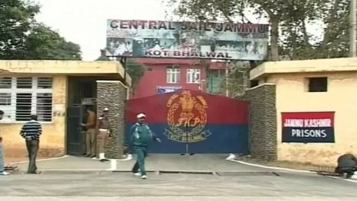 Jammu Police: सेंट्रल जेल से पॉलिथीन बैग में मिला बिना सिम वाला मोबाइल फोन। फाइल फोटो