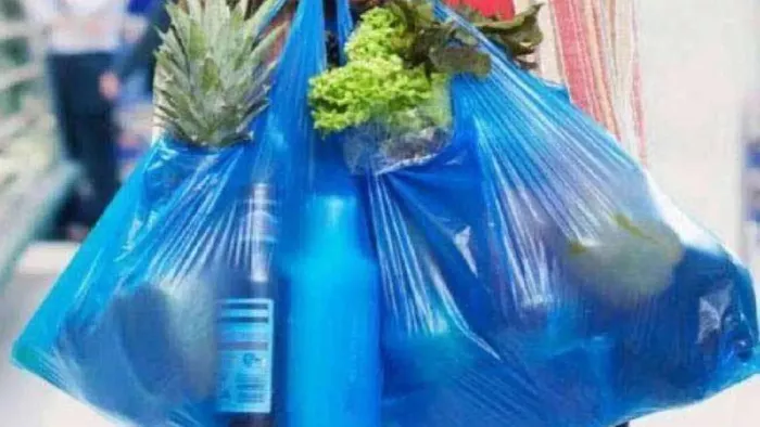 Non Woven Bag: सिंगल यूज प्लास्टिक से मिल सकेगी मुक्ति