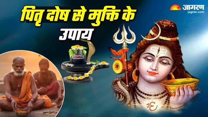 Shivling Puja Niyam पितृ दोष से मुक्ति के लिए शिवलिंग पर क्या चढ़ाएं।