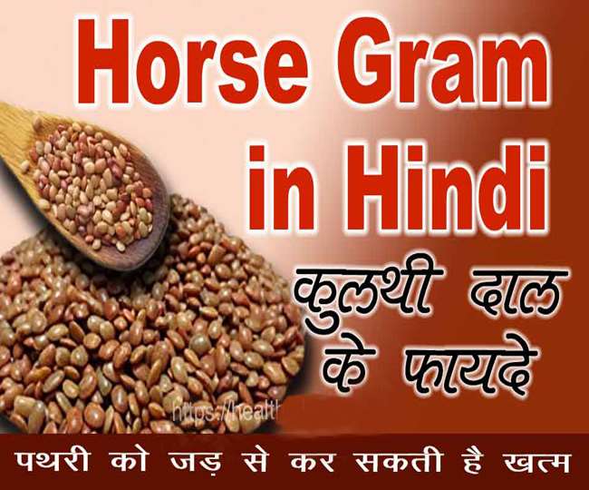 Health Tips कुल्थी के दाल सेहत के लिए है फायदेमंद वजन कम करने मे कैसे