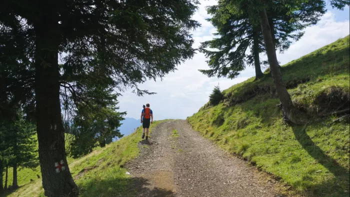 Best Trekking Destinations: भारत के बेस्ट ट्रैकिंग डेस्टिनेशन्स