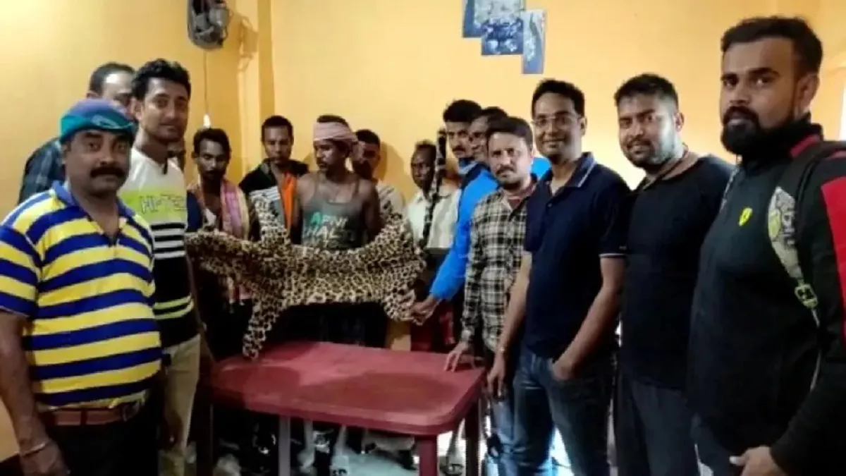 ओडिशा में बेरोकटोक जारी जंगली जानवरों का अवैध शिकार: मयूरभंज पुलिस ने जब्त की तेंदुए की खाल, 8 शिकारी गिरफ्तार