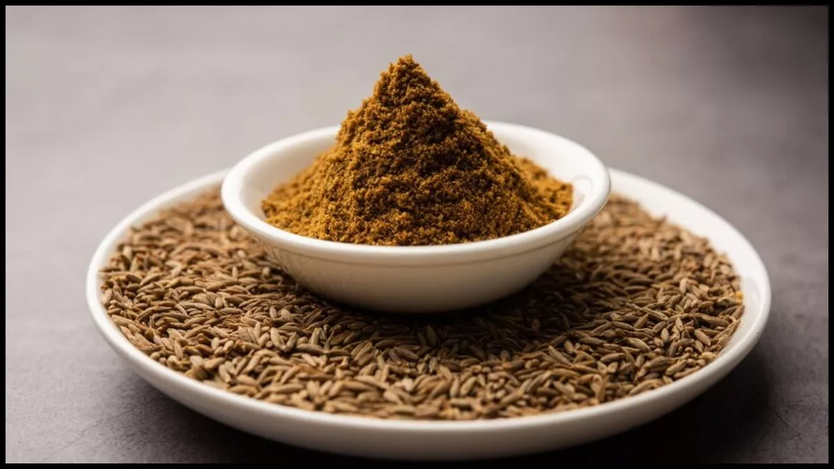 Cumin Seeds Benefits: गुणों की खान है किचन में इस्तेमाल होने वाला जीरा, डायबिटीज समेत इन समस्याओं में है कारगर