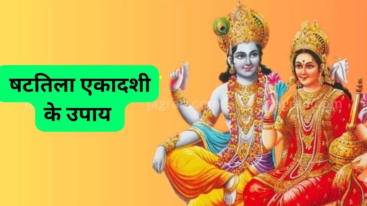 https://www.jagranimages.com/images/newimg/02022024/02_02_2024-shattila_ekadashi_2024_23643885.jpg