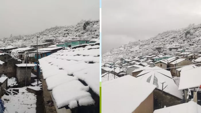 चमोली के 60 गांव में भारी बर्फबारी, Chopta और Auli में जनजीवन प्रभावित; माइनस में पहुंचा तापमान
