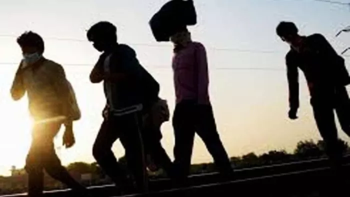 इजरायल जाने के लिए हरियाणा यूपी के 5600 श्रमिकों का चयन।