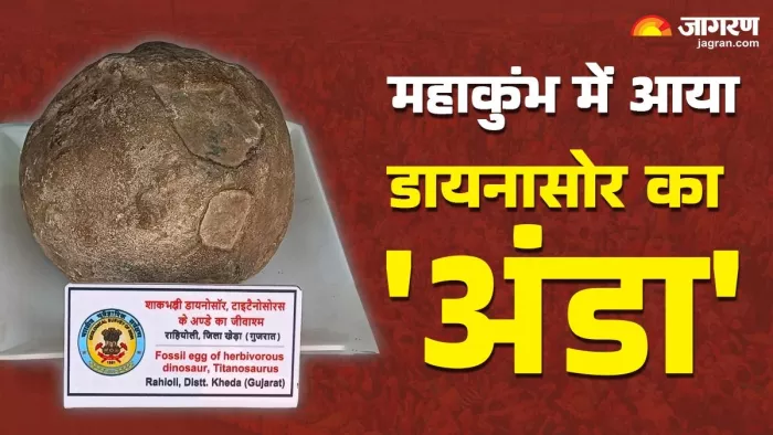 डायनासोर का 'अंडा' लाया गया Mahakumbh, देखने वालों की जुटी भीड़।