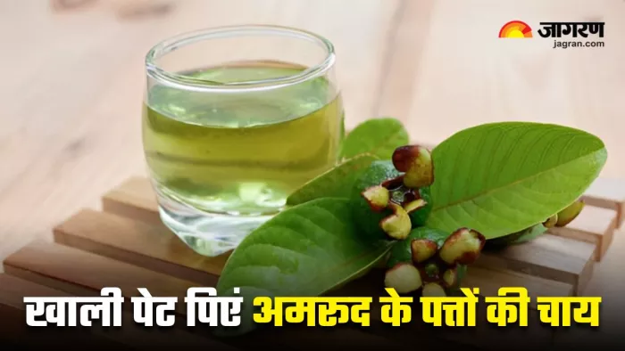 Guava Leaf Tea Benefits: सेहत के लिए बेहद गुणकारी है अमरूद के पत्तों की चाय (Image Source: Freepik)