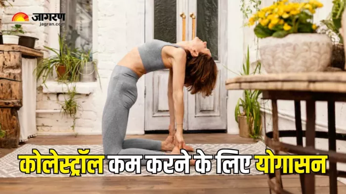 कोलेस्ट्रॉल कम करने में मदद करेंगे ये 5 योगासन (Picture Courtesy: Freepik)