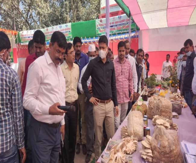 the farmers of rohtas will prosper only by producing more food grains scientific method will benefit