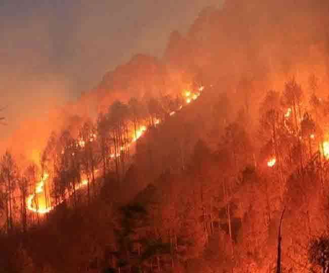वनों में लगने वाली आग को रोकने के लिए ठोस रणनीति बनाने की है जरूरत। फाइल