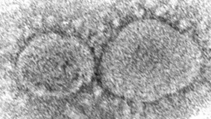 Coronavirus Origin; वुहान लैब लीक की अभी तक नहीं सुझली गुत्थी