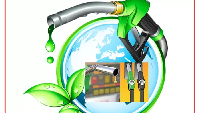 क्या होता है E20 FUEL ? कैसे होता है तैयार, भारत में कितना होगा सफल