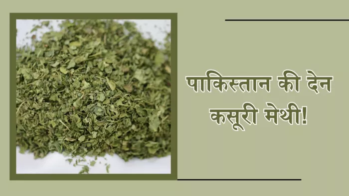 क्या आप जानते हैं कसूरी मेथी का इतिहास